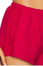 view 6 of 6 Porterhouse Short in Radish Red