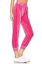 view 2 of 4 Velour Track Jogger in Street Pink