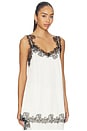 view 2 of 5 CAMISOLA THE JULIETTE in Champagne With Noir Lace