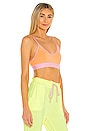 view 2 of 4 T Shirt Bra in Mango & Candy Floss