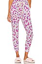 view 1 of 4 PANTALON LOUNGE in Persian Leopard