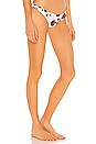 view 2 of 4 Brief Bikini Bottom in Cream Rose