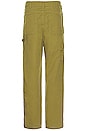 view 3 of 5 Morris Canvas Carpenter Pant in Mayfly