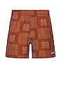 view 1 of 3 Talley Swim Short in Caramel