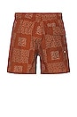 view 2 of 3 Talley Swim Short in Caramel