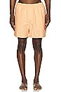view 3 of 3 Talley Swim Short in Apricot Wash