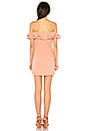 view 3 of 3 Janie Dress in Dusty Coral