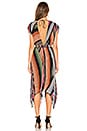 view 3 of 3 Lia Dress in Multi