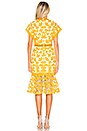 view 3 of 4 Kaiya Dress in Mustard & White