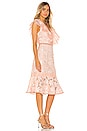 view 2 of 4 Brynn Dress in Blush