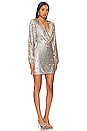 view 2 of 4 Rina Mini Dress in Silver & Gold