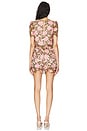 view 3 of 3 Morgana Dress in Multi