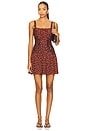view 1 of 3 Posy Dress in Burnt Umber