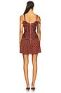 view 3 of 3 Posy Dress in Burnt Umber