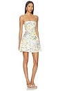 view 2 of 4 Gabriele Dress in Multi