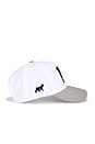 view 5 of 4 Patched Five Panel Hat in White, Ford Navy, & Ford Grey