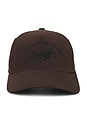 view 1 of 4 SOMBRERO in Chocolate Brown