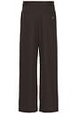 view 2 of 6 PANTALON in Dark Brown