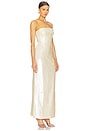 view 3 of 5 Solance Dress in Champagne