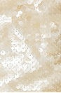 view 5 of 5 Solance Dress in Champagne