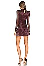 view 3 of 4 Sunrise Dress in Garnet