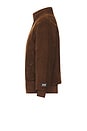 view 3 of 6 BLOUSON in Brown