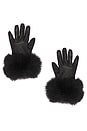 view 1 of 2 Dawson Leather Gloves With Fur Trim in Black