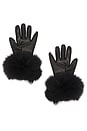 view 2 of 2 Dawson Leather Gloves With Fur Trim in Black