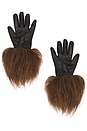 view 2 of 2 Frida Leather Gloves With Fur Trim in Black & Brown