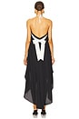 view 3 of 4 Penelope Maxi Dress in Black & White