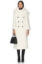 view 1 of 4 Collette Scarf Coat in Cream
