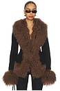 view 1 of 4 Dorothy Suede Coat in Black & Brown Trim