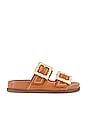 view 1 of 5 Enola Sporty Sandal in New Wood