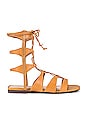 view 1 of 5 SANDALES CASSIA in Nude Caramel