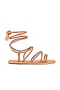 view 1 of 5 Magdalena Flat Sandal in Nude Caramel