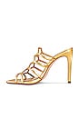 view 5 of 5 Julianna Weekend Sandal in Ouro Claro Orch