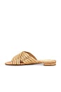 view 5 of 5 Latifah Flat Sandal in Ouro Claro & Natural