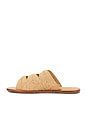 view 5 of 5 Ivy Sandal in Natural