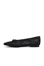 view 5 of 5 ARISSA MESH 플랫 in Black