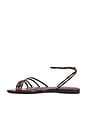 view 5 of 5 Inez Flat Sandal in Dark Brown