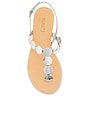 view 4 of 5 Acacia T Sandal in Prata