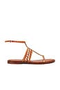 view 1 of 5 Isidora Sandal in Cuoio Brown