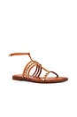 view 2 of 5 Isidora Sandal in Cuoio Brown