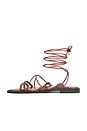 view 5 of 5 Antonia Sandal in Brown Rose