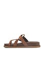 view 5 of 5 Aveline Sporty Sandal in Desert Brown