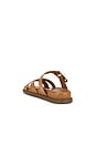 view 3 of 5 Vivienne Sporty Sandal in Cuoio Brown