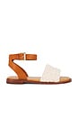 view 1 of 5 Isabel Flat Sandal in Cru