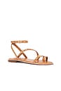 view 2 of 5 Annete Sandal in Cuoio Brown
