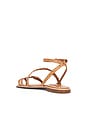 view 3 of 5 Annete Sandal in Cuoio Brown