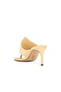 view 3 of 5 Elena Sandal in Natural Nibs
